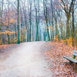 Empty Bench Seniors Depression and Mobility