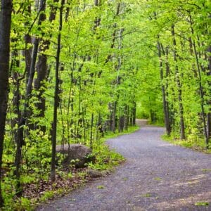 Nature trail can be walked with all terrain rollator