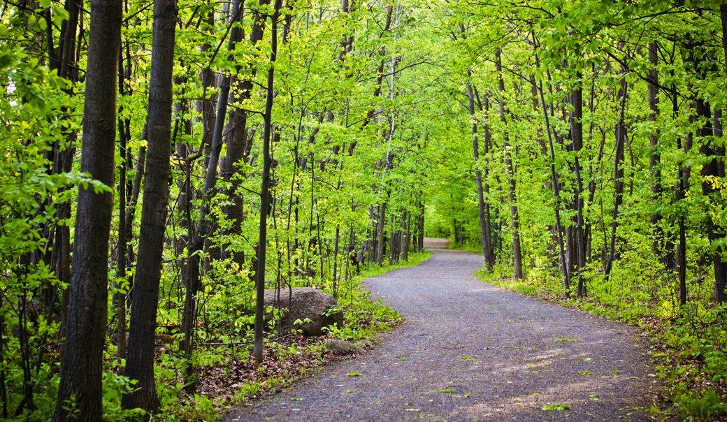 Nature trail can be walked with all terrain rollator